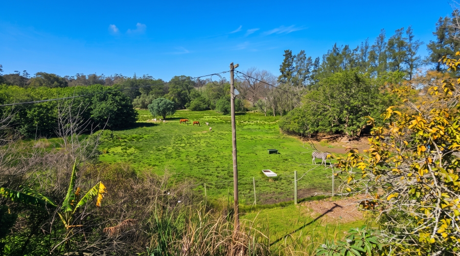 8 Bedroom Property for Sale in Swellendam Western Cape
